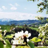 Verführerisches Mostviertel
