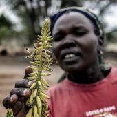 Klimawandel und Kriege bleiben größte Hungertreiber