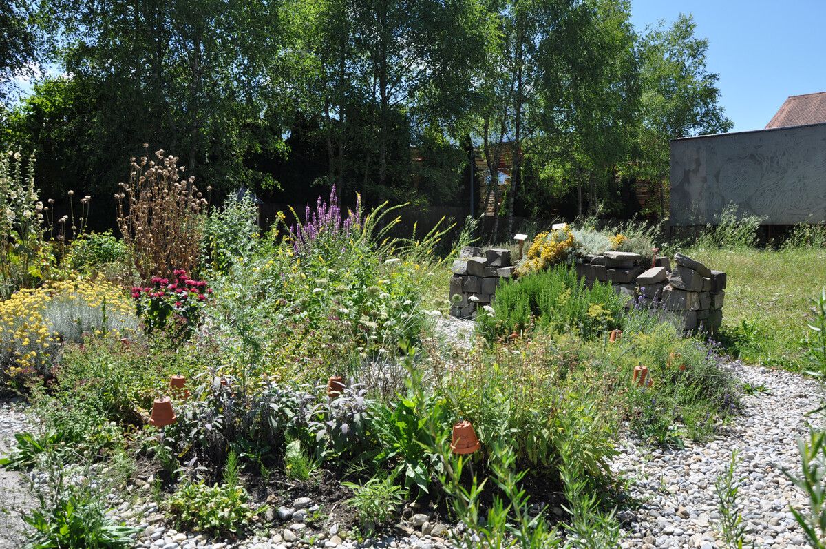 Die inatura lädt am heutigen Dienstag wieder in den Kräutergarten.⇒inatura