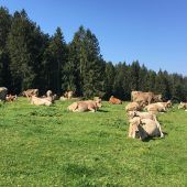 Plädoyer für Alpengenuss mit Respekt