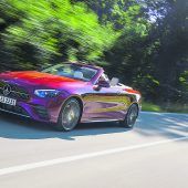 Artenvielfalt auf ganz spezielle Weise