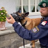 Ein neuer Polizeihund namens Siegfried