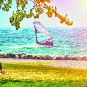 Perfekte Bedingungen für Windsurfer