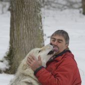 Wolfsforscher: Abschüsse lösen Problem nicht. »A5