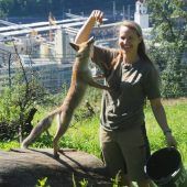 Putziger Nachwuchs und süße Neulinge im Wildpark