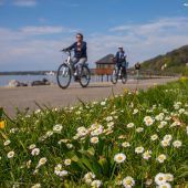 Die Radkultur hat in diesem Sommer Saison