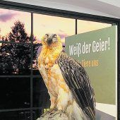 Über die Beziehung von Mensch und Tier