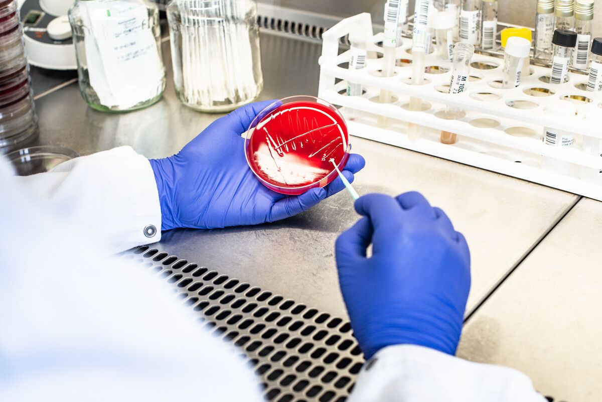 Unzählige Proben werden tagtäglich in der Pathologie genauestens in Augenschein genommen und analysiert.⇒vlkh/nussbaumer