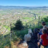 Spannender Wurzelweg mit Blick in die Schweiz