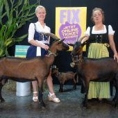 Viel zu meckern, gackern und wiehern bei der Sonderschau der Herbstmesse