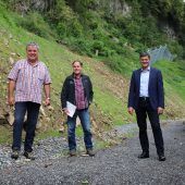 Steinschlagsicherung in Feldkirch-Levis