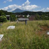 Feldkirch bietet Förderung zur Klimawandelanpassung
