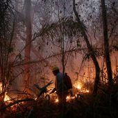 Bolivien ruft wegen Waldbränden Notstand aus