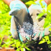Verwöhnprogramm für Ihren Garten