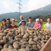 Kartoffeln fürs ganze Jahr