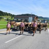Älpler kommen nach Lingenau