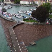Hochwassergefahr am Rhein gebannt, große Treibholzschwemme bei Lindau.  »A9