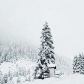 Der Winter lässt grüßen