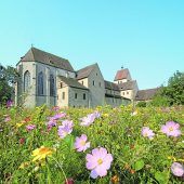 Genussvoller Ausflug auf die Insel Reichenau und nach Konstanz