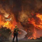 Waldbrand durch Babyparty