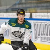 6:0 gegen die Wälder, den Bulldogs müssen drei Tests reichen