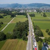 Windelschnecke folgt Wachtelkönig