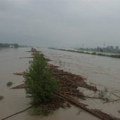 Fluch und Segen mit dem Rhein