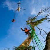 Wucher Helicopter: Holzercrew  erhielt Kurs-Zertifikate