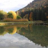 Eine Runde entlang des Wald-Wissens-Wegs