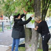 2850 Verbündete gegen den Klimawandel