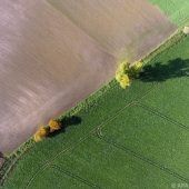 Arten- und Klimaschutz durch Renaturierung
