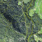 Wald in Innerbraz für 56.400 Euro verkauft