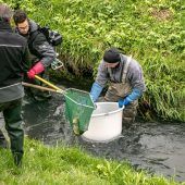 Amtstafel Vorarlberg Kundmachungen aus den 96 Gemeinden, dem Land und den Bezirkshauptmannschaften
