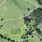 Wald in Bürserberg für 30.000 Euro verkauft