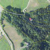 Wald in Hohenems für 26.769 Euro verkauft