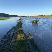 Hochwasseralarm am Rhein