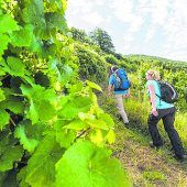 In 24 Etappen der Mosel entlang