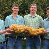 Wälder Kartoffelprojekt erfolgreich gestartet