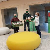 Apfelringe aus dem Kindergarten am Engelbach