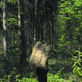 Der Heimatbegriff als Nadel im Heuhaufen