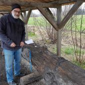 Baumfossil aus vorchristlicher Zeit in Lustenau entdeckt