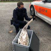Aus dem Polizeibericht