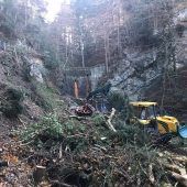 Forstarbeiten in Örflaschlucht