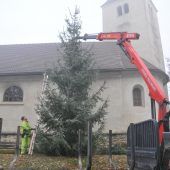 Christbaum bereit zur Illuminierung