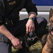 Polizeihund spürt Einbrecher auf