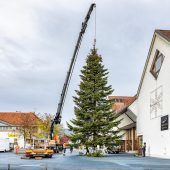 „Dar Chrischbôm ischt dô“ hieß es jetzt in Lustenau