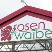 Waibel schafft Sanierungsschritt