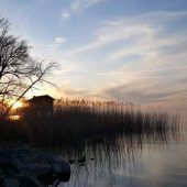 Ihr Foto in der VN-Heimat