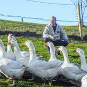 Dieses Jahr ist Gans anders