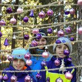 Vorweihnachtszauber
